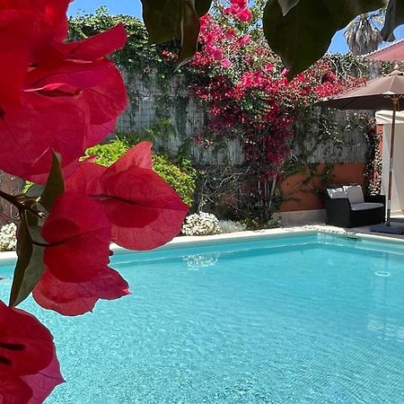 Studio With Private Swimming Pool And Garden Cascais Luaran gambar